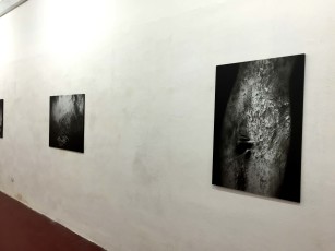 IMG_1129